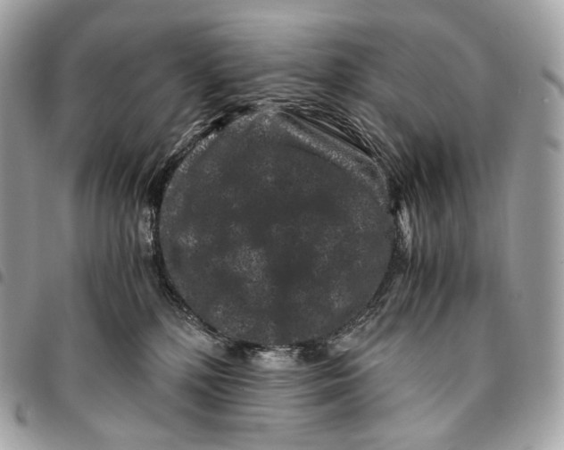 X0000096160232200802081441