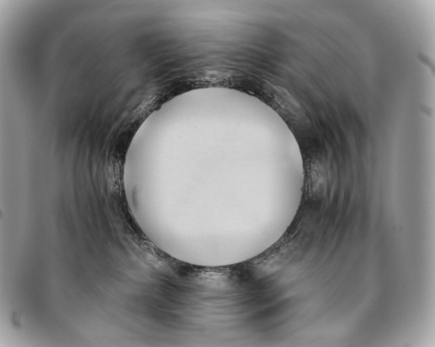 X0000096160236200802081441