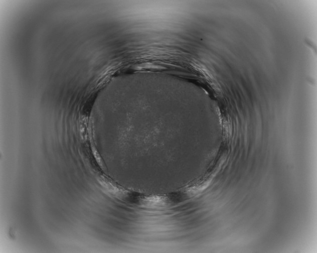 X0000096160237200802081441