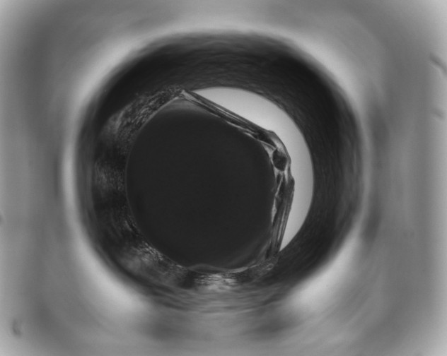 X0000096160239200802081441