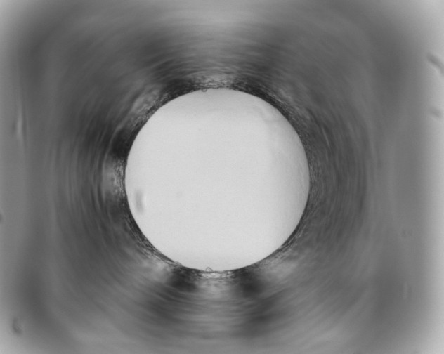 X0000096160240200802081441