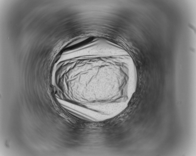 X0000096160241200802081440