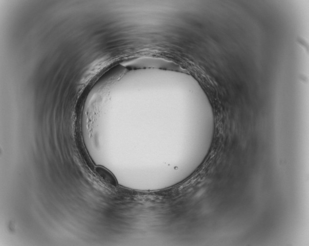 X0000096160242200802081440