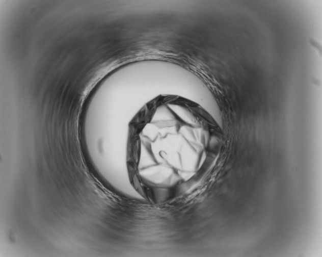 X0000096160244200802081440