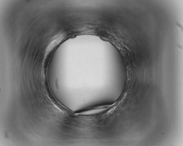 X0000096160245200802081440