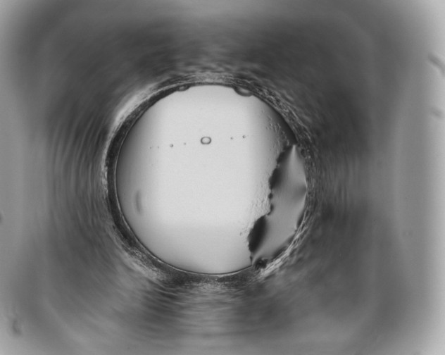 X0000096160246200802081440