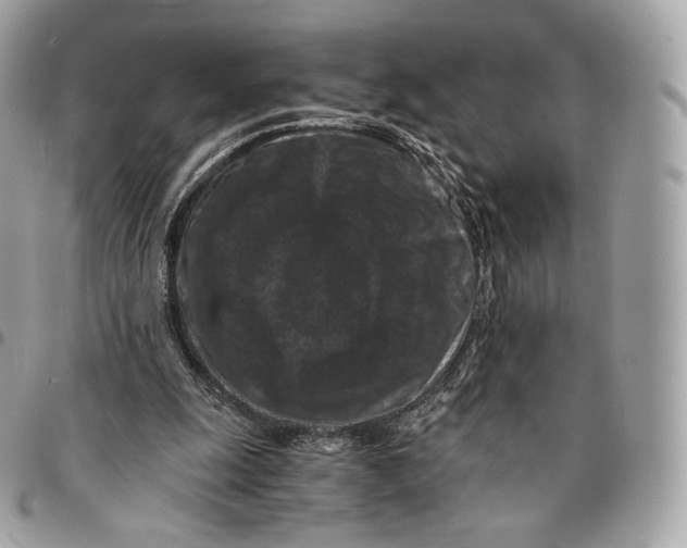 X0000096160247200802081440