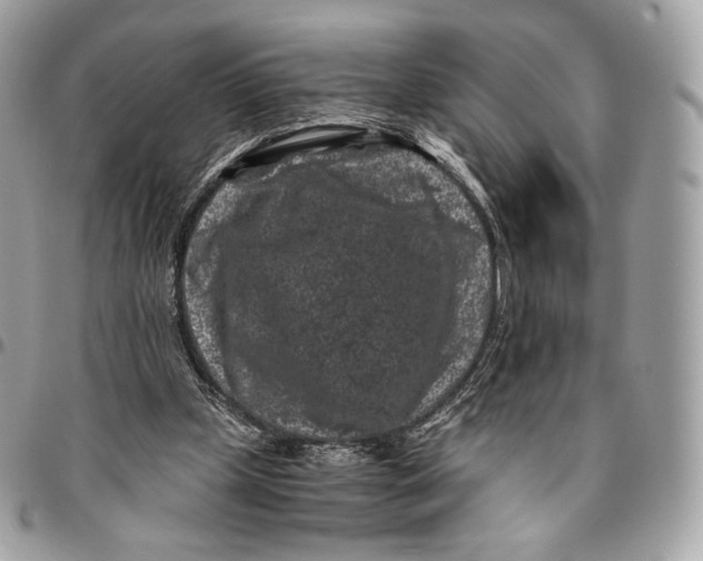 X0000096160249200802081440