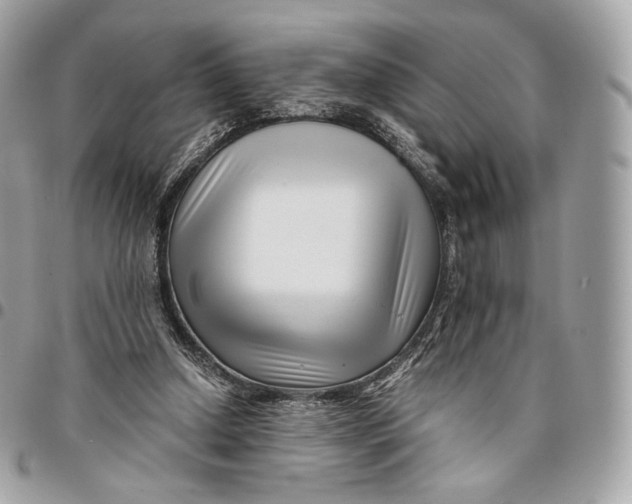 X0000096160250200802081440