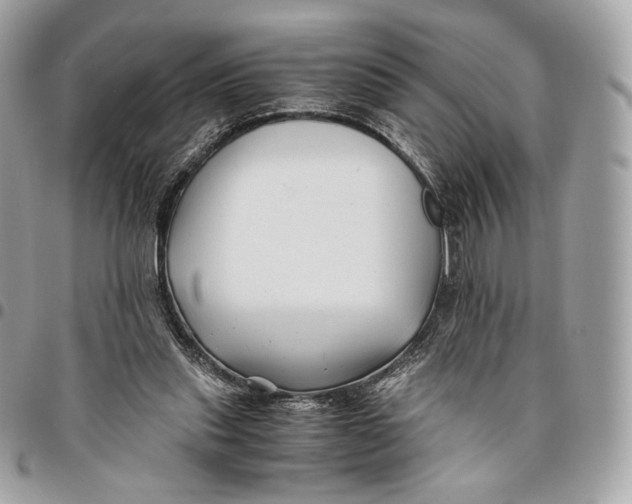 X0000096160253200802081440