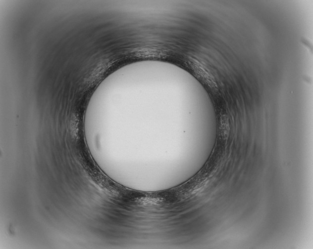 X0000096160255200802081440