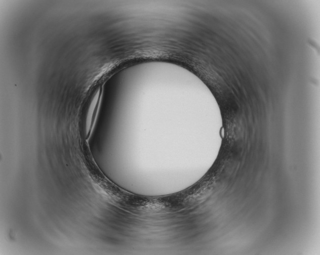 X0000096160256200802081440