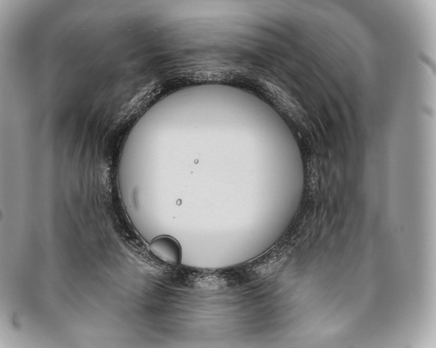 X0000096160258200802081441