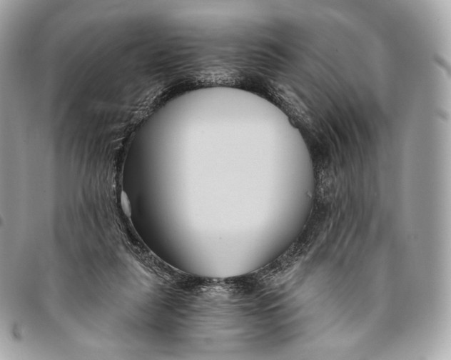 X0000096160259200802081441