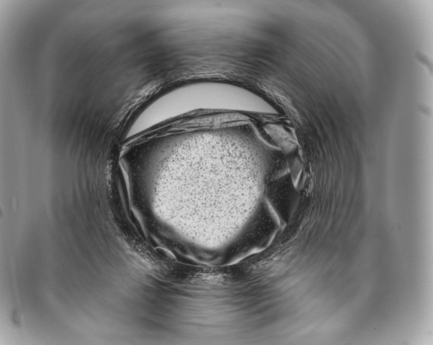 X0000096160260200802081441