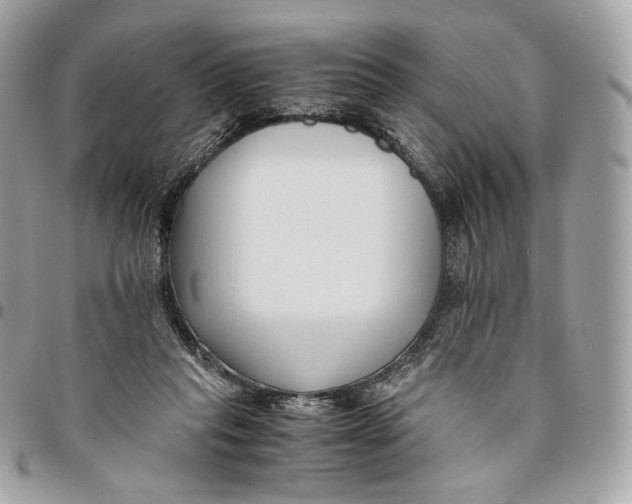 X0000096160261200802081441