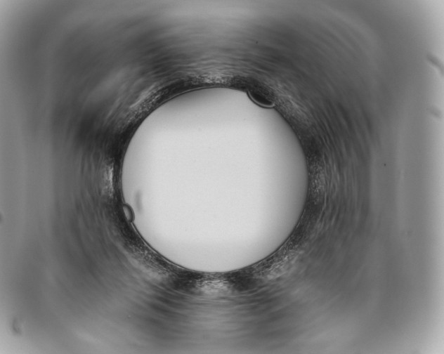 X0000096160262200802081441