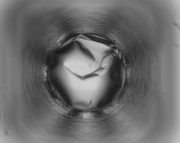 X0000096160264200802081441