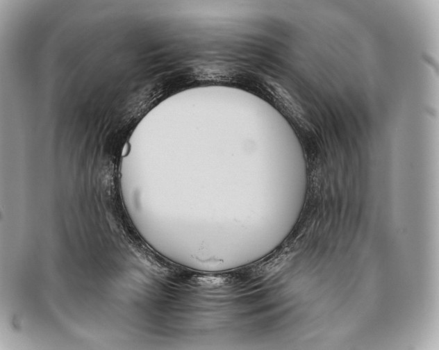 X0000096160265200802081441