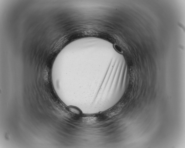 X0000096160266200802081441