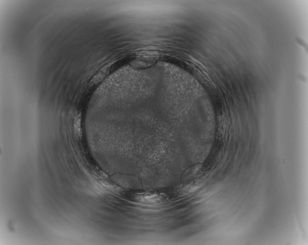 X0000096160267200802081441