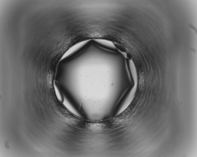 X0000096160268200802081441