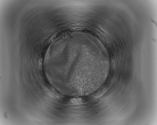 X0000096160271200802081441