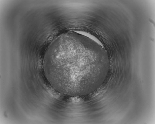 X0000096160272200802081441