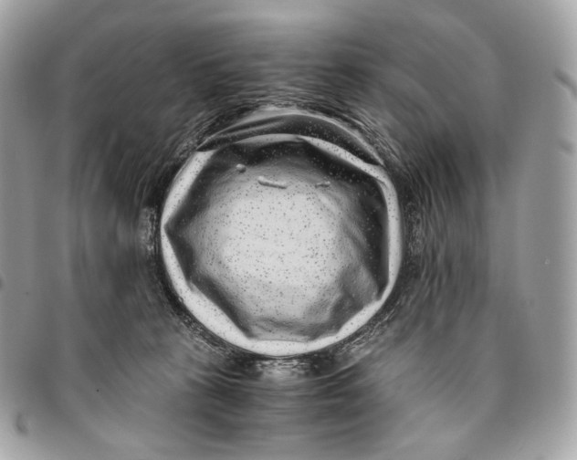 X0000096160273200802081441