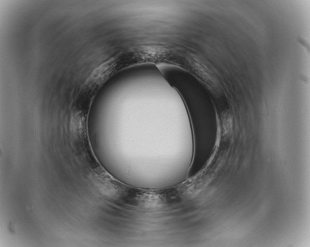 X0000096160276200802081441