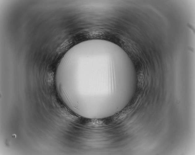 X0000096160278200802081441