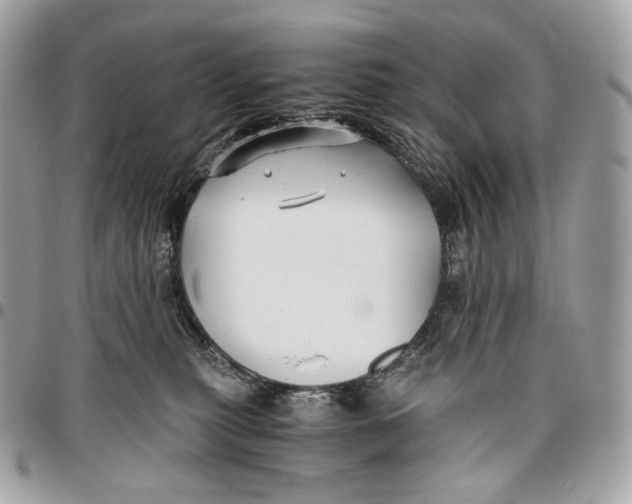 X0000096160279200802081441