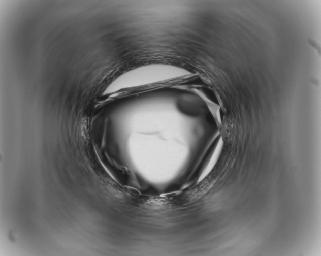 X0000096160280200802081441