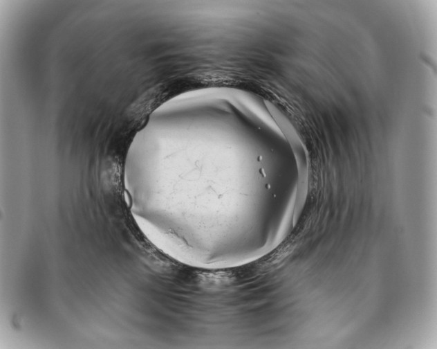 X0000096160281200802081441