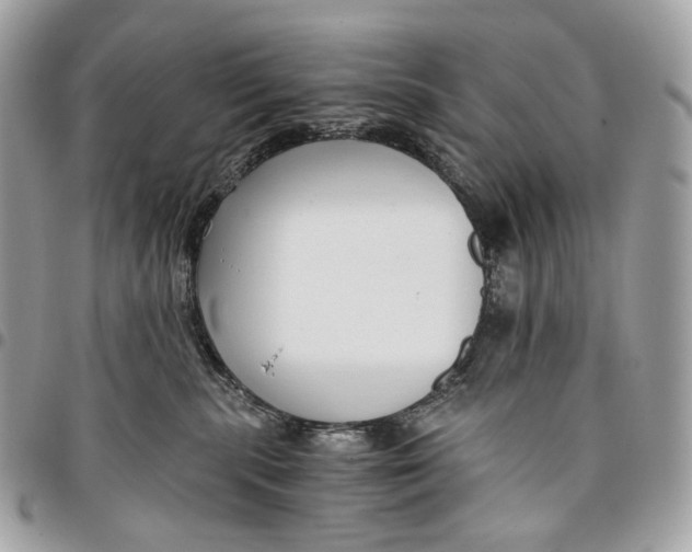 X0000096160283200802081441