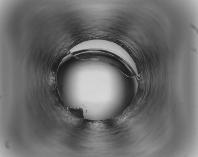 X0000096160284200802081441