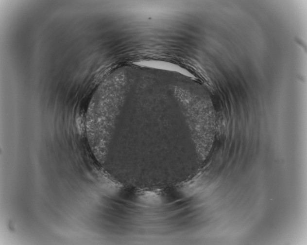 X0000096160285200802081441