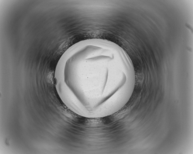 X0000096160286200802081441