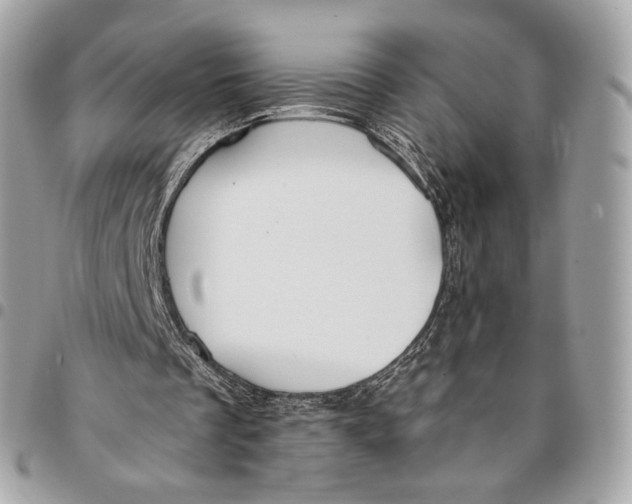 X0000096160289200802081440