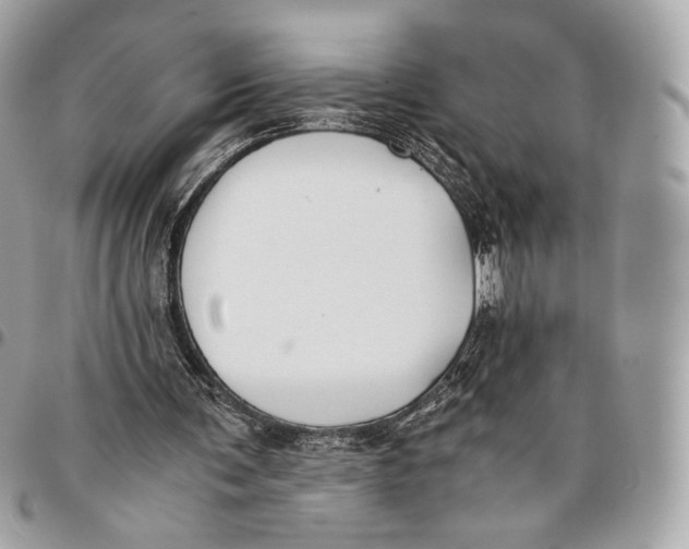 X0000096160291200802081440