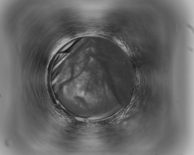 X0000096160292200802081440