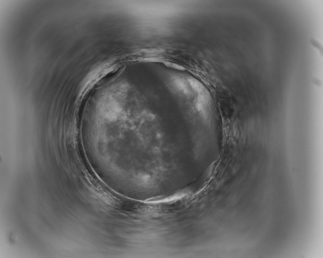 X0000096160293200802081440