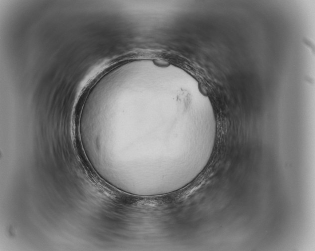 X0000096160294200802081440