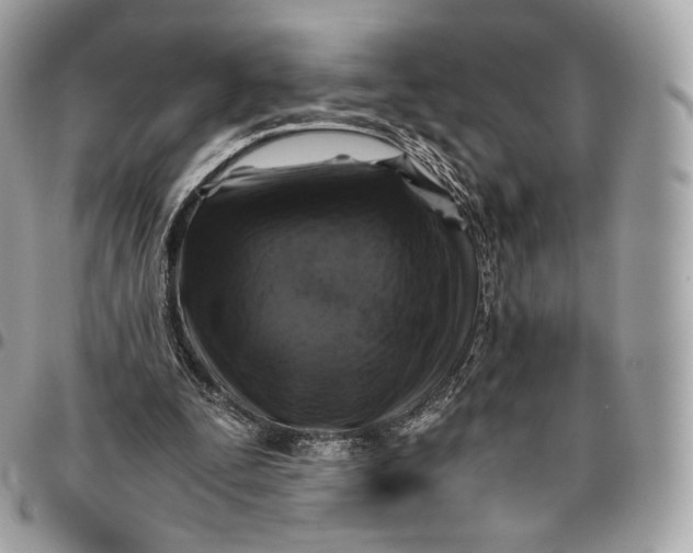 X0000096160295200802081440