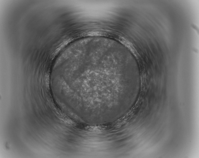 X0000096160297200802081440