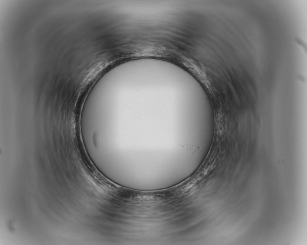 X0000096160298200802081440