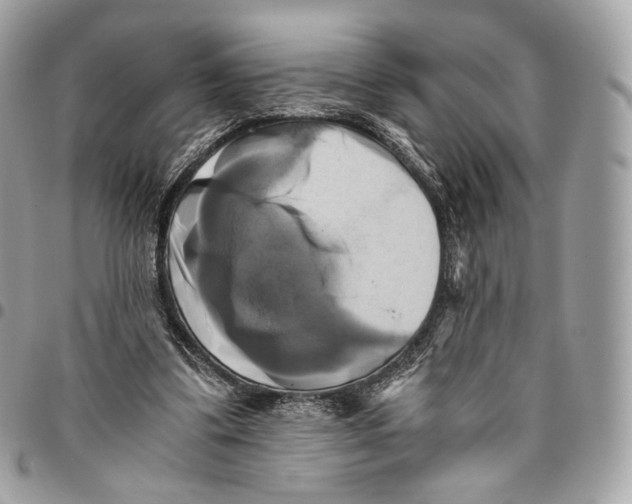 X0000096160299200802081440