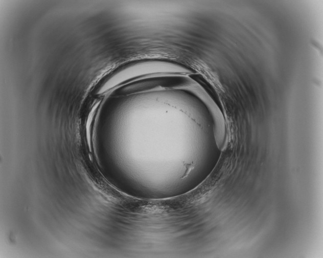 X0000096160300200802081440