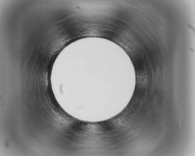 X0000096160302200802081440