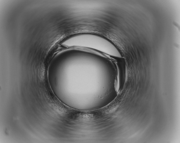 X0000096160304200802081440